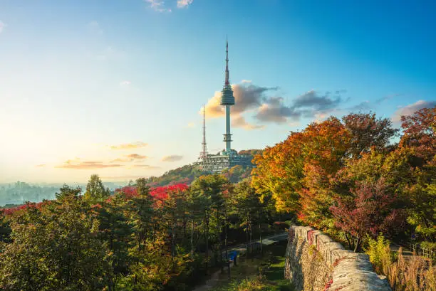 산림산업기사