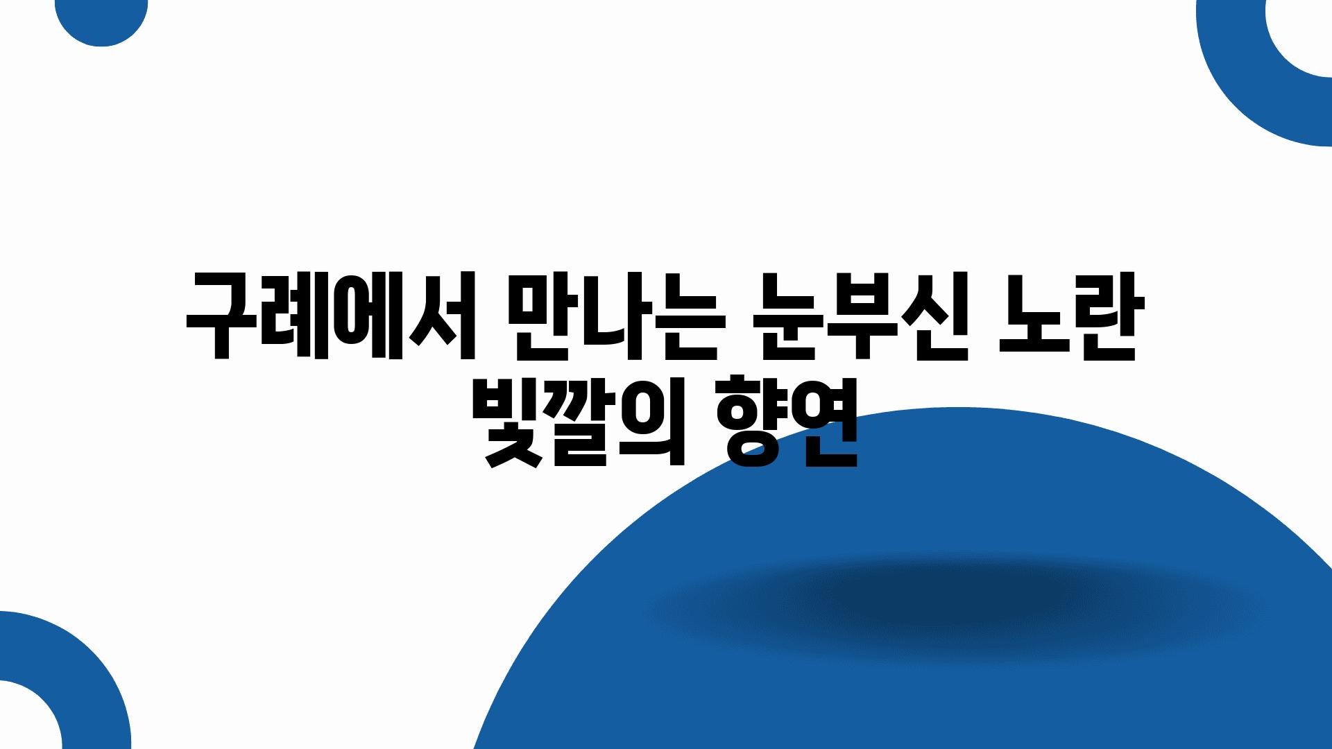 구례에서 만나는 눈부신 노란 빛깔의 향연