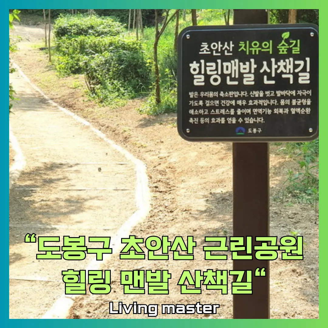 도봉구 초안산근린공원 맨발길