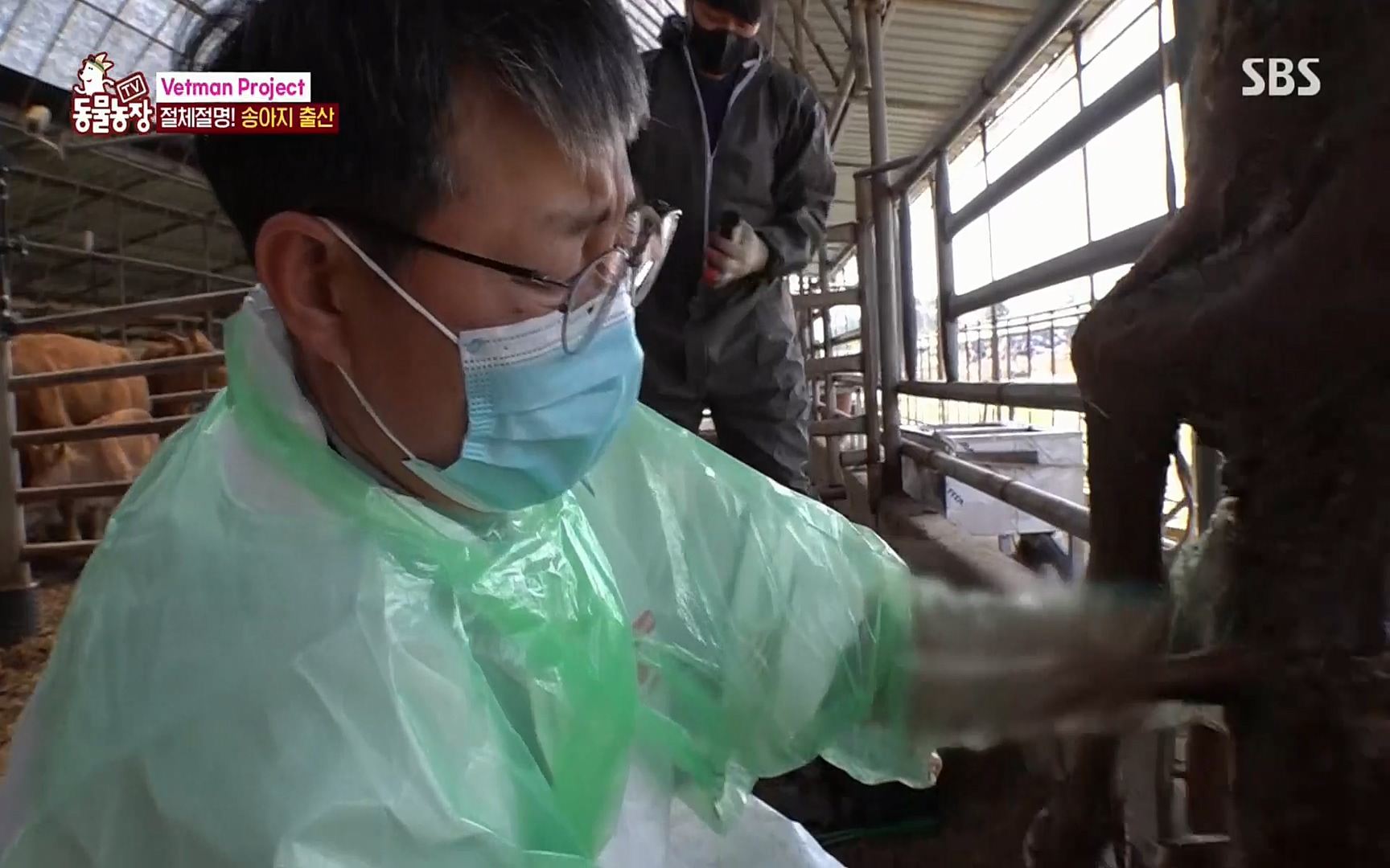 TV 동물농장.E1069.220515p.H264-F1RST.mp4_20220515_180051.747.jpg