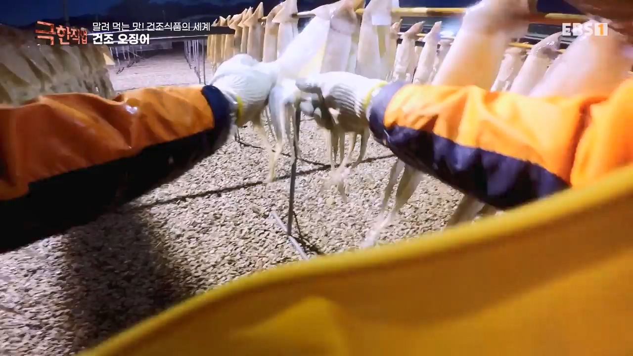 TV - 전 국민의 평생학교 EBS말려 먹는 맛! 건조식품의 세계.mp4_20231125_190722.741.jpg