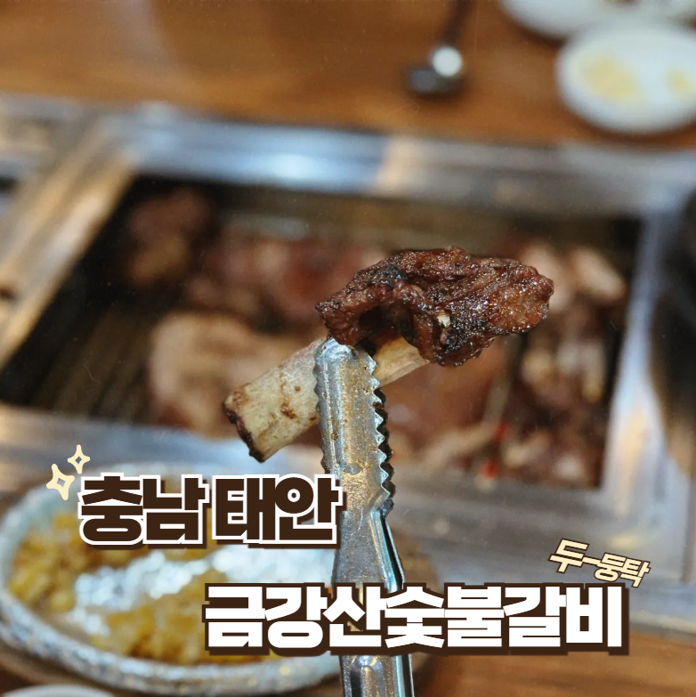 금강산숯불갈비 3