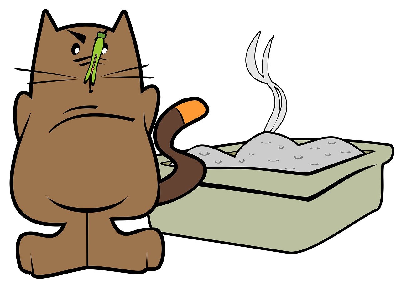 고양이 화장실 모래 Cat litter
