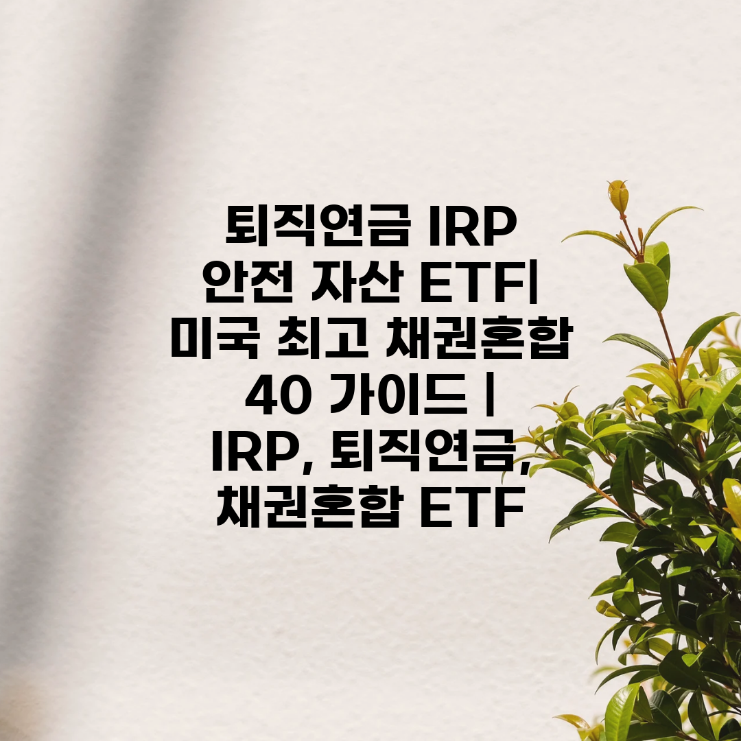 퇴직연금 IRP 안전 자산 ETF 미국 최고 채권혼합 