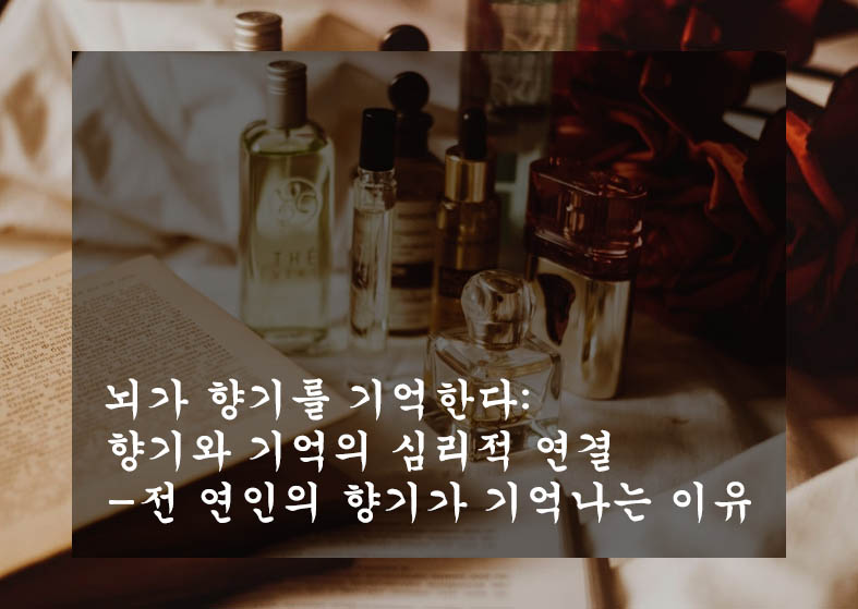  뇌가 향기를 기억한다: 향기와 기억의 심리적 연결-전 연인의 향기가 기억나는 이유