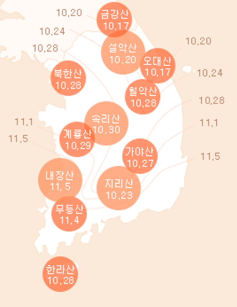 2024 단풍축제