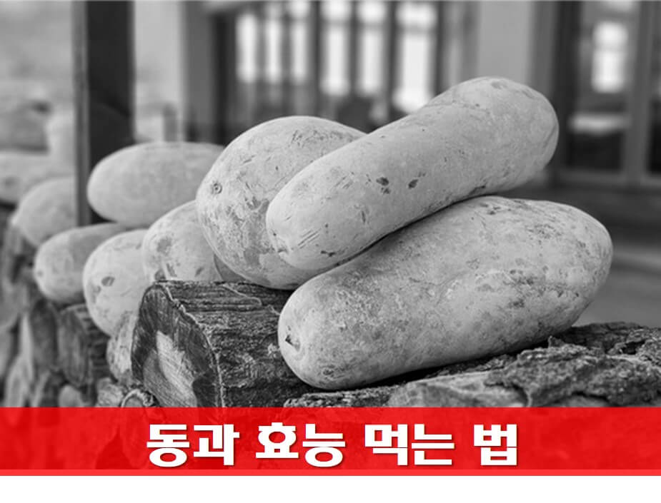  변비와 다이어트에 좋은 동과 먹는 법 효능 동과차 만들기