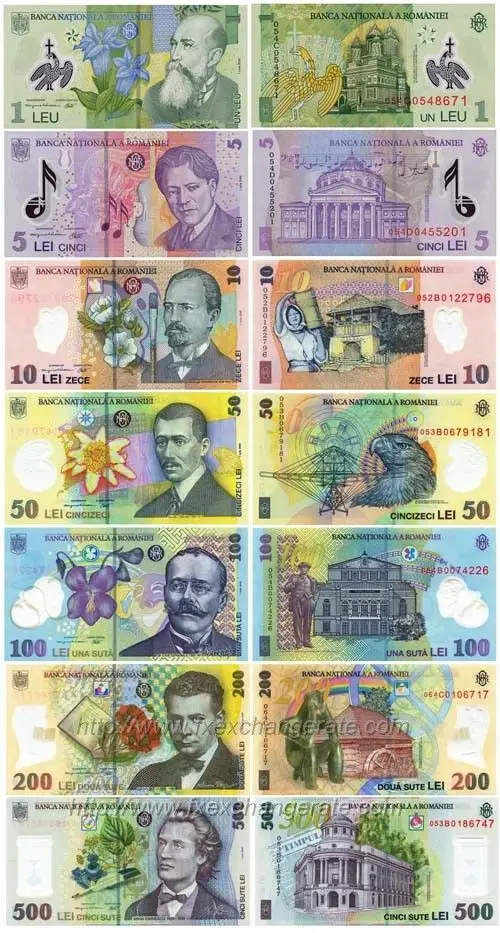 레우화 지폐의 종류