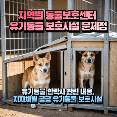 지역별 동물보호센터 섬네일