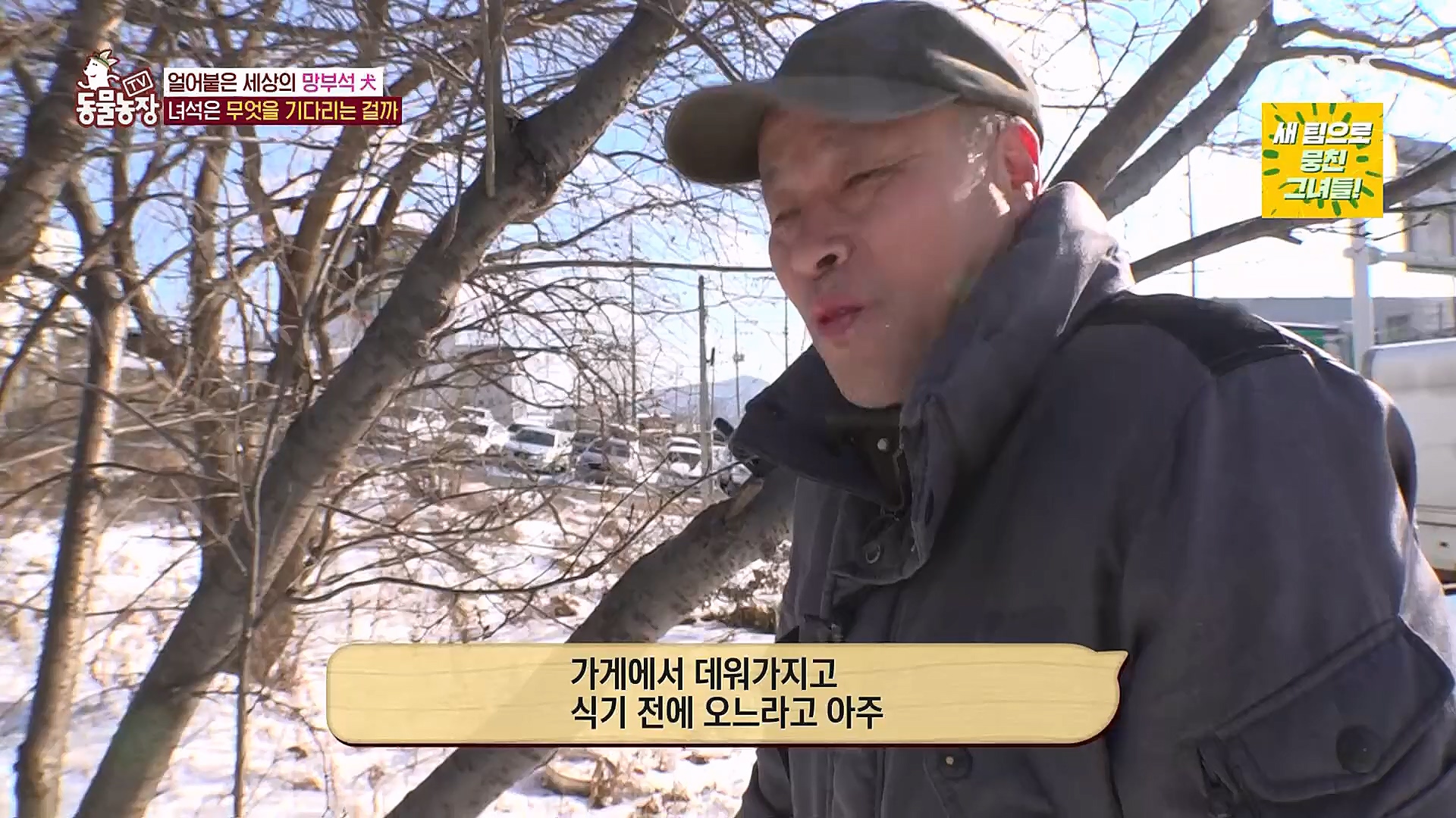 TV 동물농장.E1104.230115p.H264-F1RST.mp4_20230115_173216.263.jpg