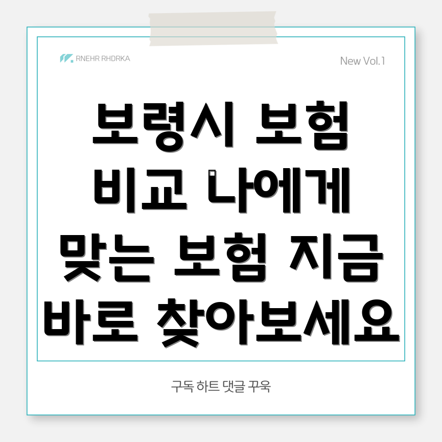 보령시 보험