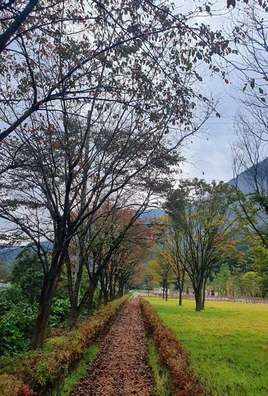 운일암반일암 국민여가캠핑장