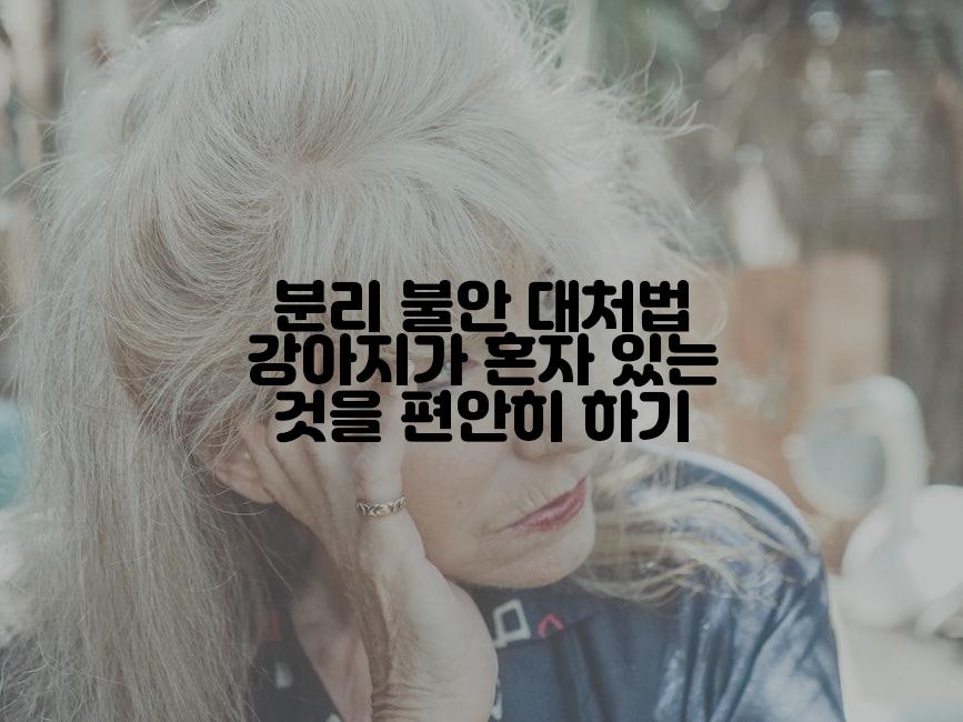 분리 불안 대처법 강아지가 혼자 있는 것을 편안히 하기