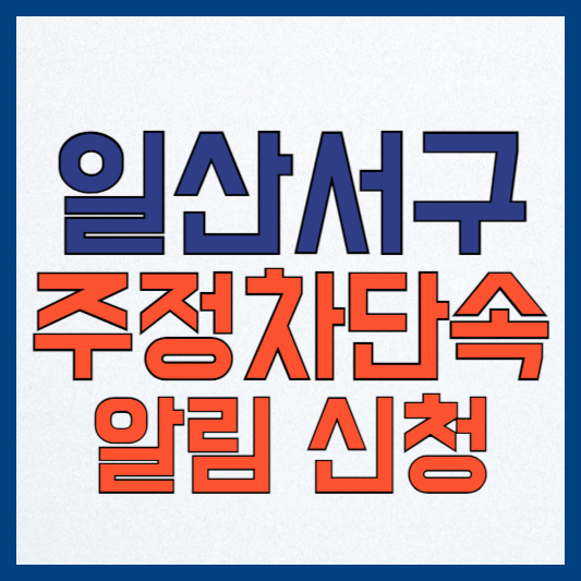 고양시 일산서구 주정차