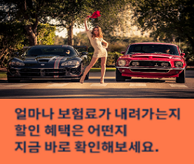  자동차보험비교사이트 자동차보험료조회 자동차보험가입조회 간편합니다.