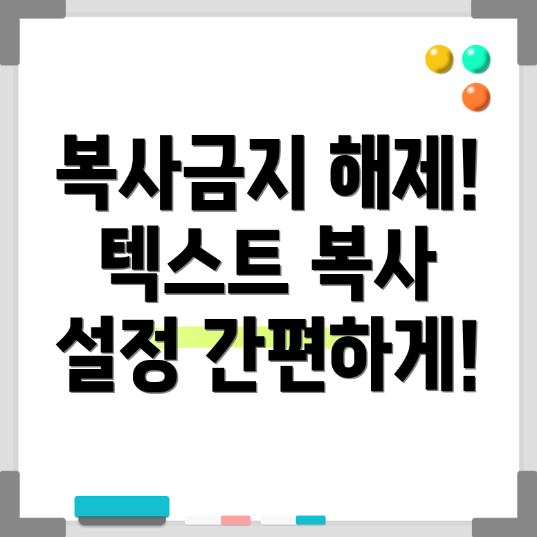 텍스트 복사 설정