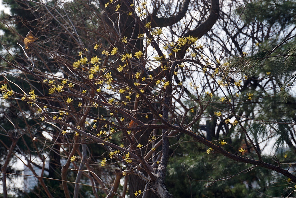 230314 동만봉 3 111