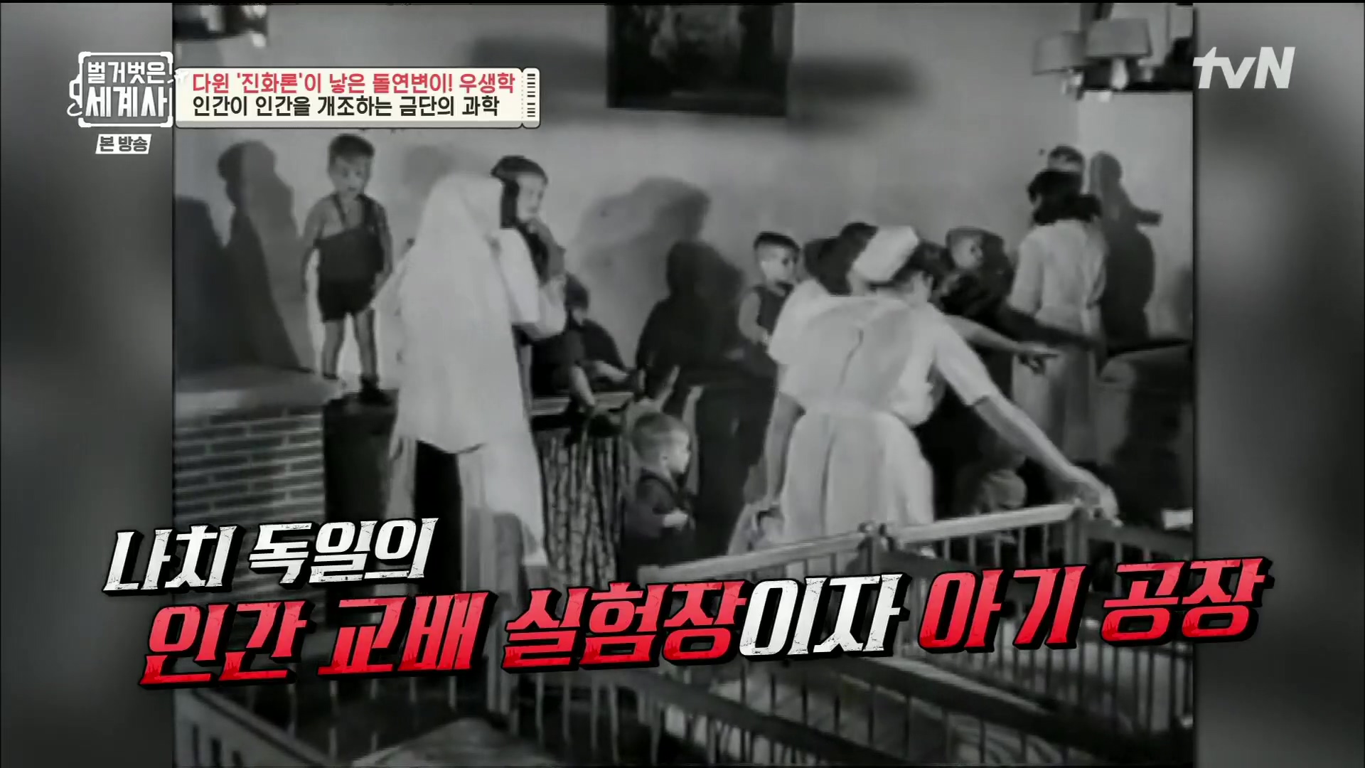 벌거벗은 세계사.E97.230502p.H264-F1RST.mp4_20231224_162009.504.jpg