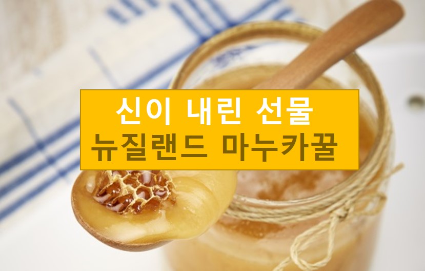 신이 내린 선물 뉴질랜드 마누카꿀