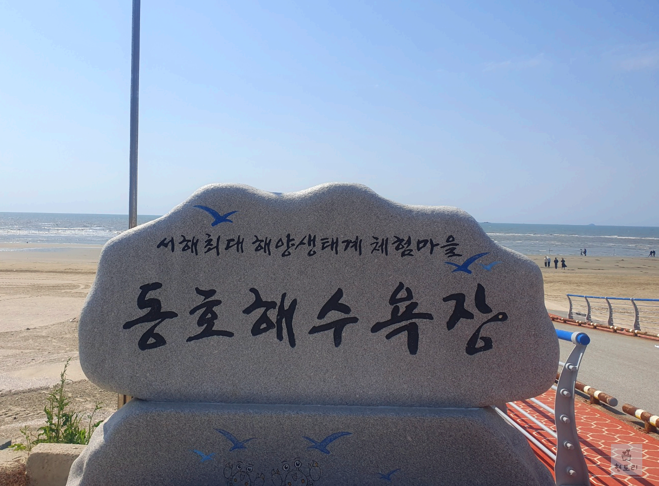 동호 해수욕장