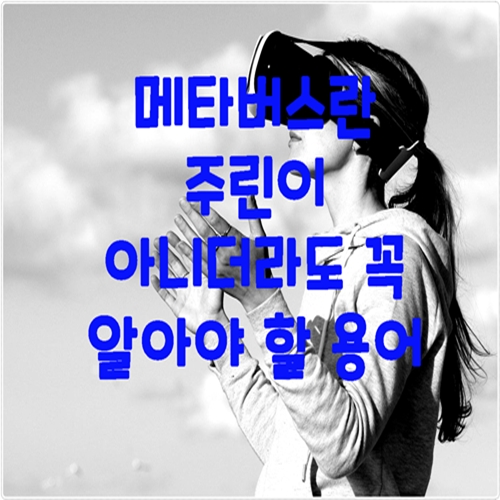  메타버스란 주린이 아니더라도 꼭 알아야 할 용어