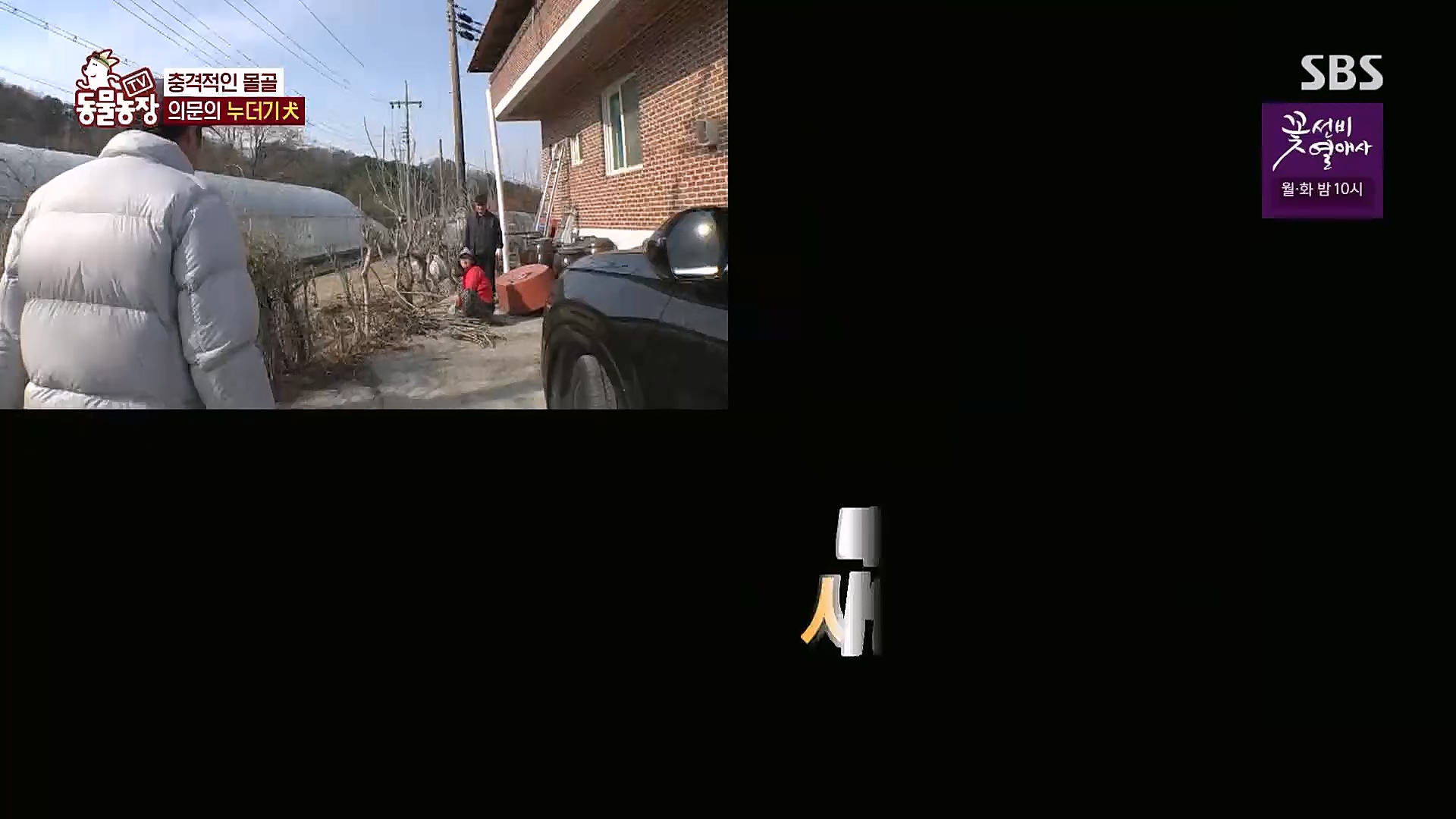 TV 동물농장.E1113.230326p.H264-F1RST.mp4_20230326_172514.350.jpg