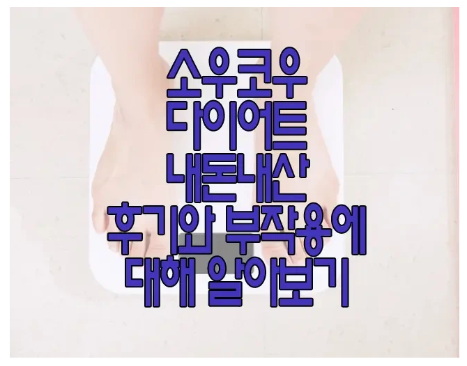 소우코우 다이어트에 관한 글 보러 가기 링크 사진