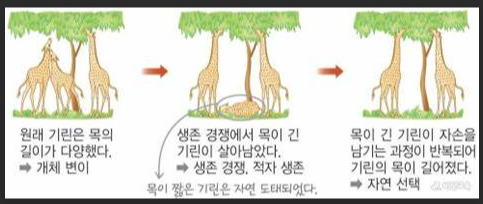 자연선택론