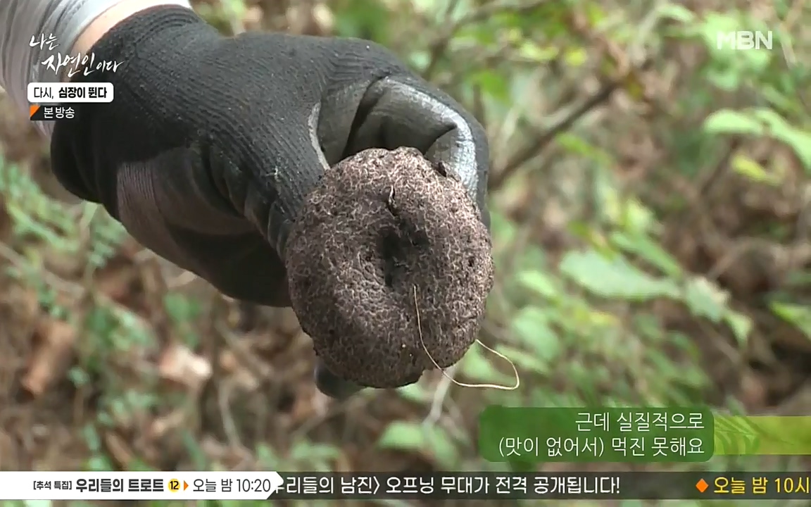 나는 자연인이다.E519.220915p-NEXT.mp4_20220915_194545.201.jpg