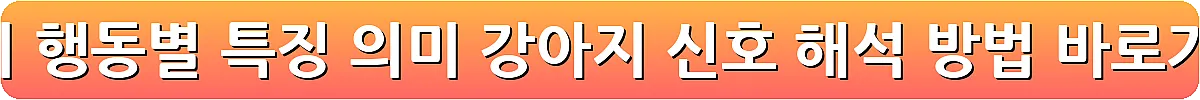 강아지 행동별 특징 의미 강아지 신호 해석 방법_14