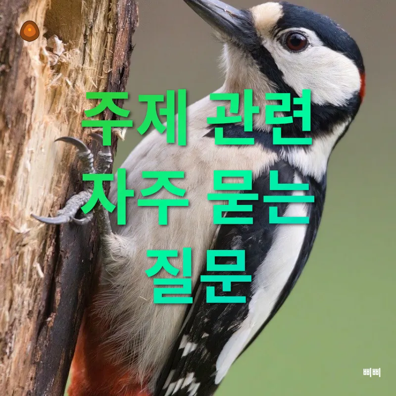 감성사진_4
