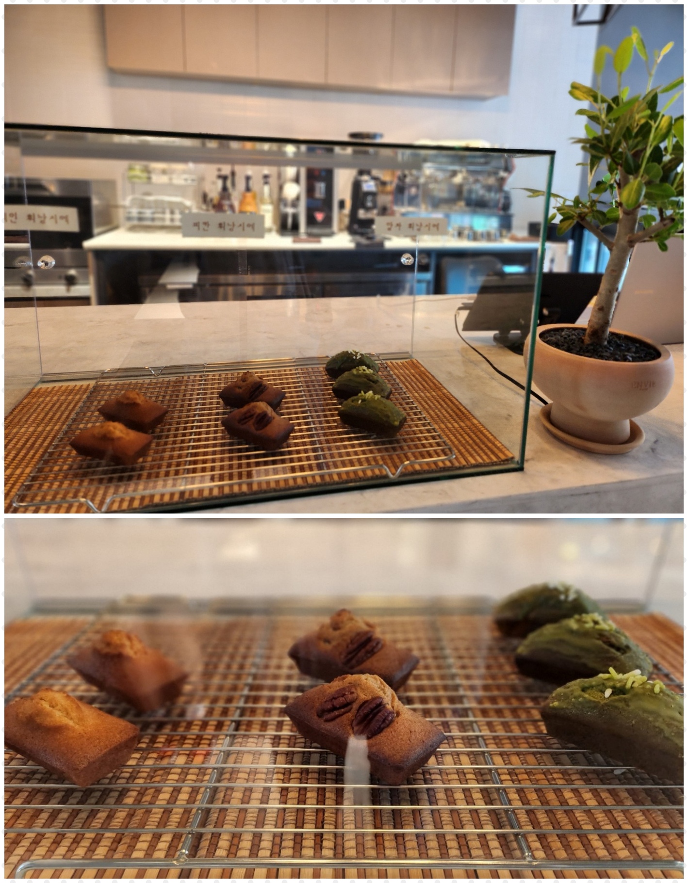 칸커피플라워 이미지