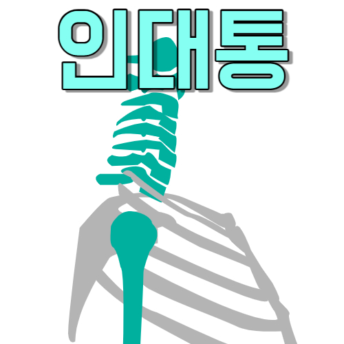  인대 강화 주사 효과 인대통 완치 가능 걱정은 그만