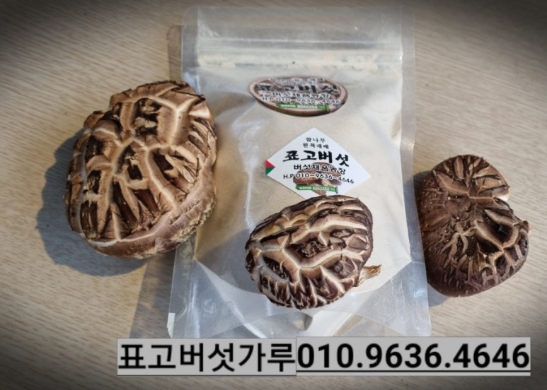 표고버섯 판매 버섯 제철입니다. 표고버섯 참나무 4