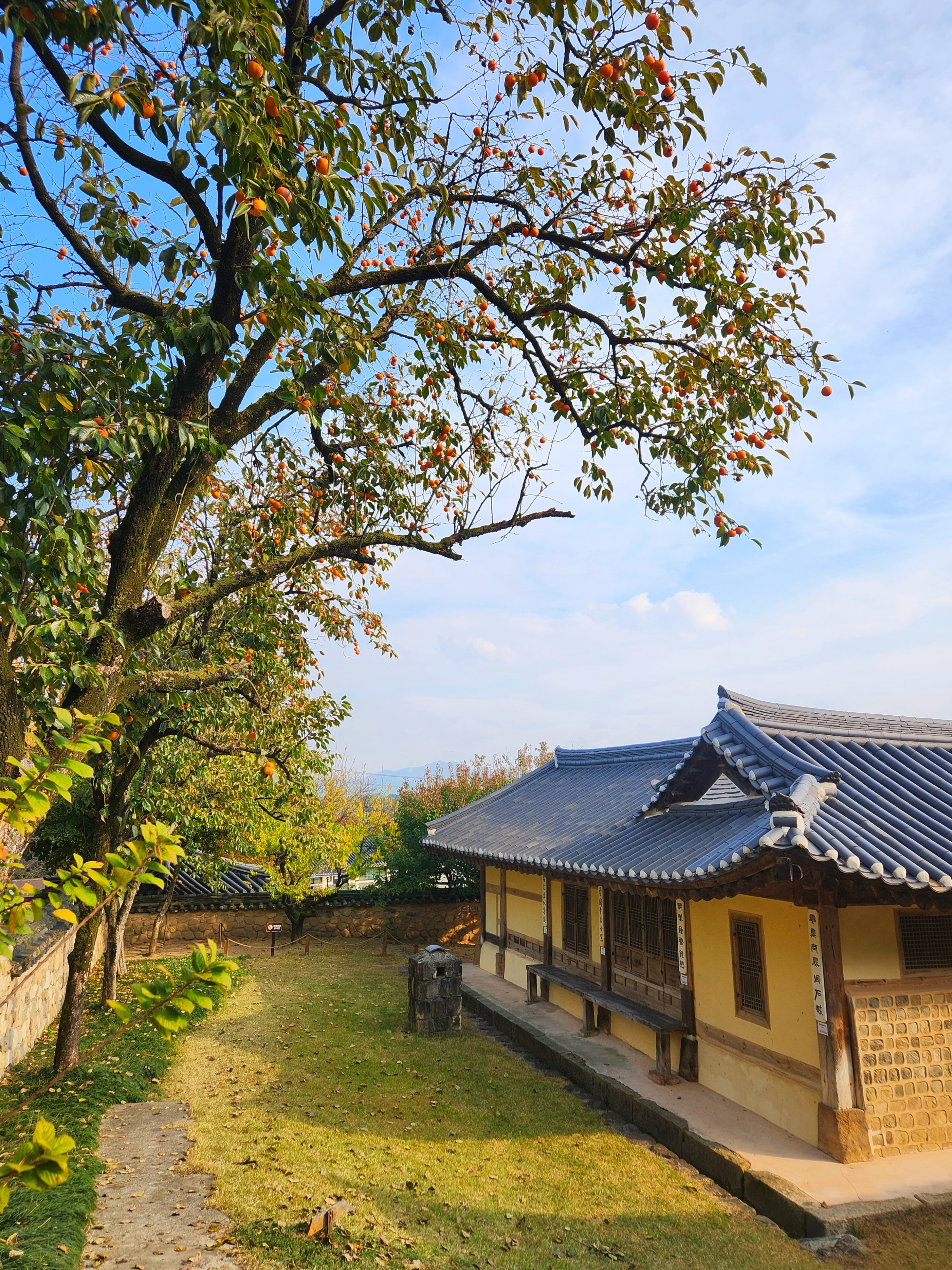 예산 가볼만한곳 단풍 명소 추사 김정희 선생 고택