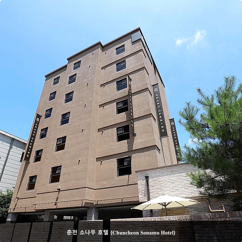 춘천 소나무 호텔 (Chuncheon Sonamu Hotel)_5
