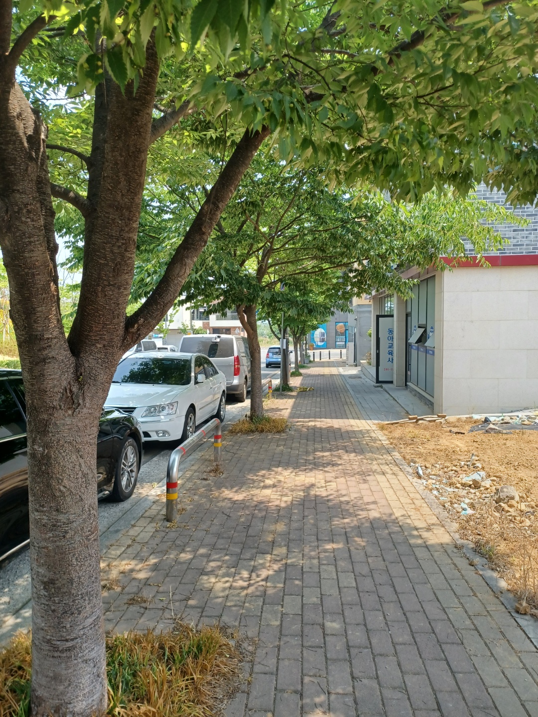  커피 맛집  " 아마도, 너 "
