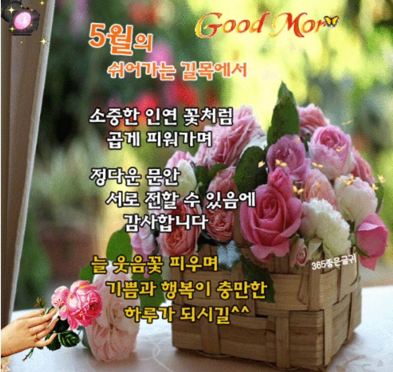  어느덧 5월 중순입니다
