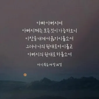씨 뿌리는 자의 바유 마가복음 성경 묵상_25