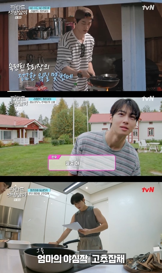 핀란드 셋방살이