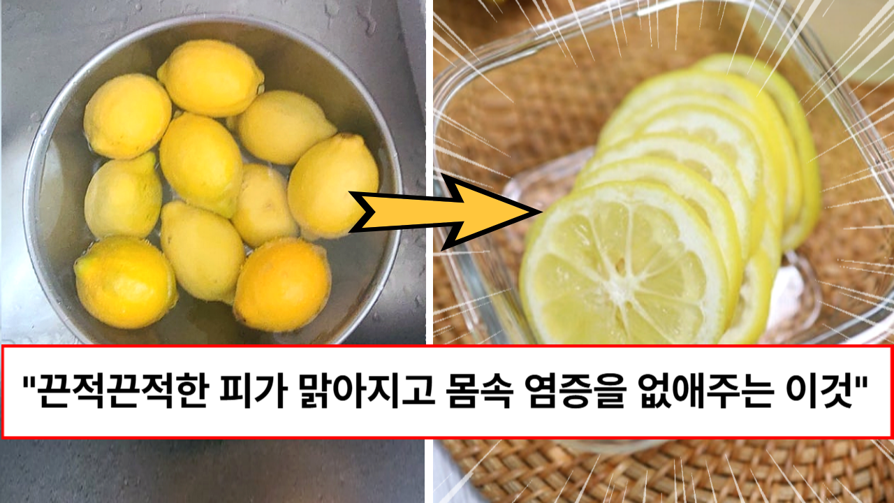 “껍질까지 같이 드세요” 당뇨, 혈관, 암, 다이어트 모두 다 한 번에 잡아주는 레몬즙 먹는 법 “껍질까지 같이 드세요” 당뇨, 혈관, 암, 다이어트 모두 다 한 번에 잡아주는 레몬즙 먹는 법