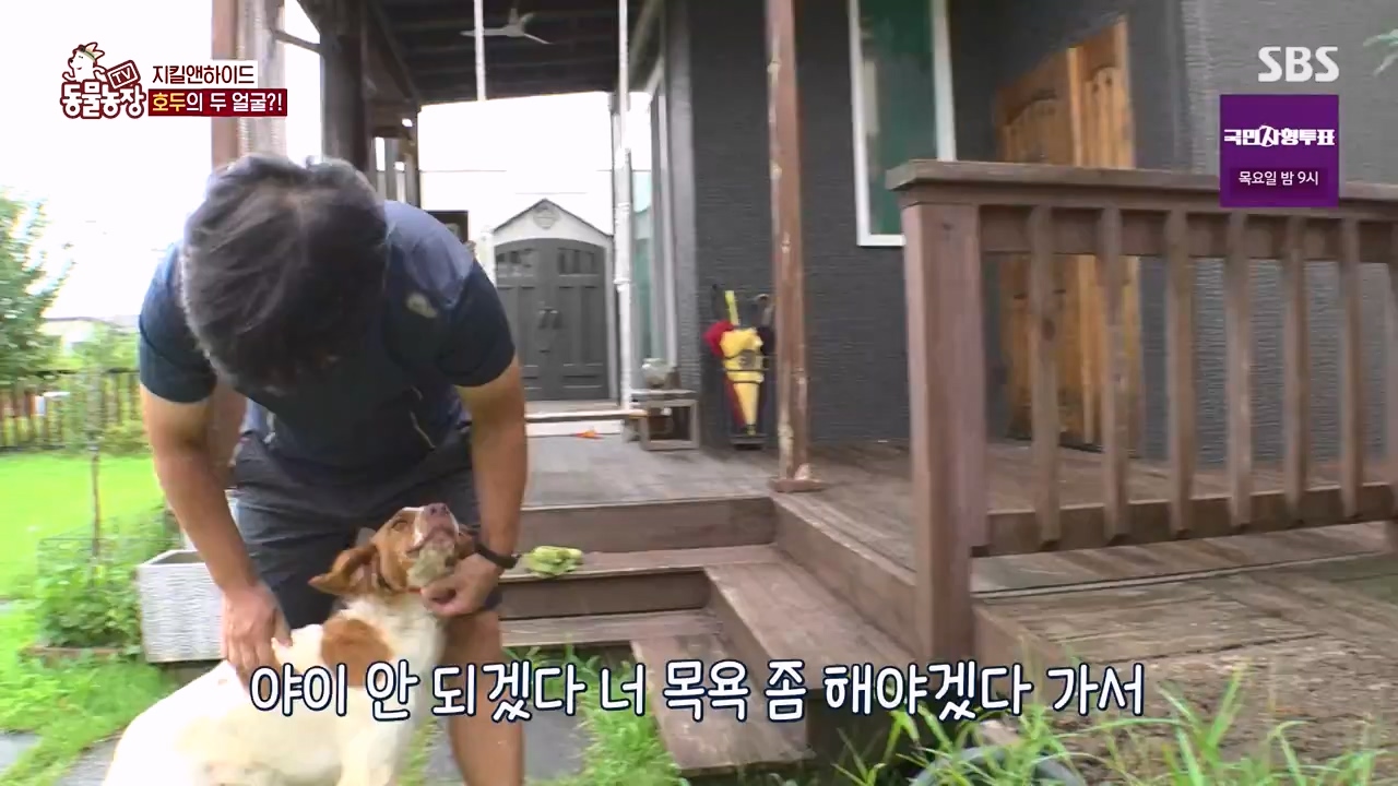 TV 동물농장.E1133.230814p-NEXT.mp4_20230813_171330.543.jpg