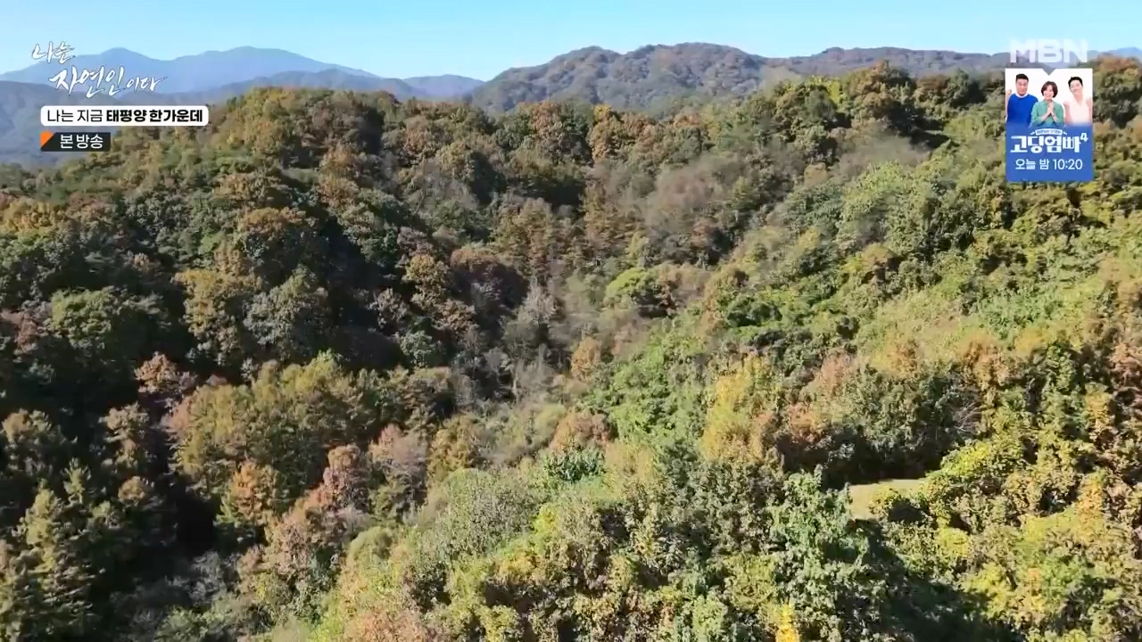 나는 자연인이다.E581.231123p-NEXT.mp4_20231123_200709.543.jpg