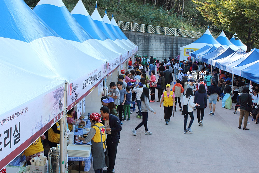 동래읍성축제 기본정보 셔틀버스 주차장 추천 프로그램 주변 가볼만한곳