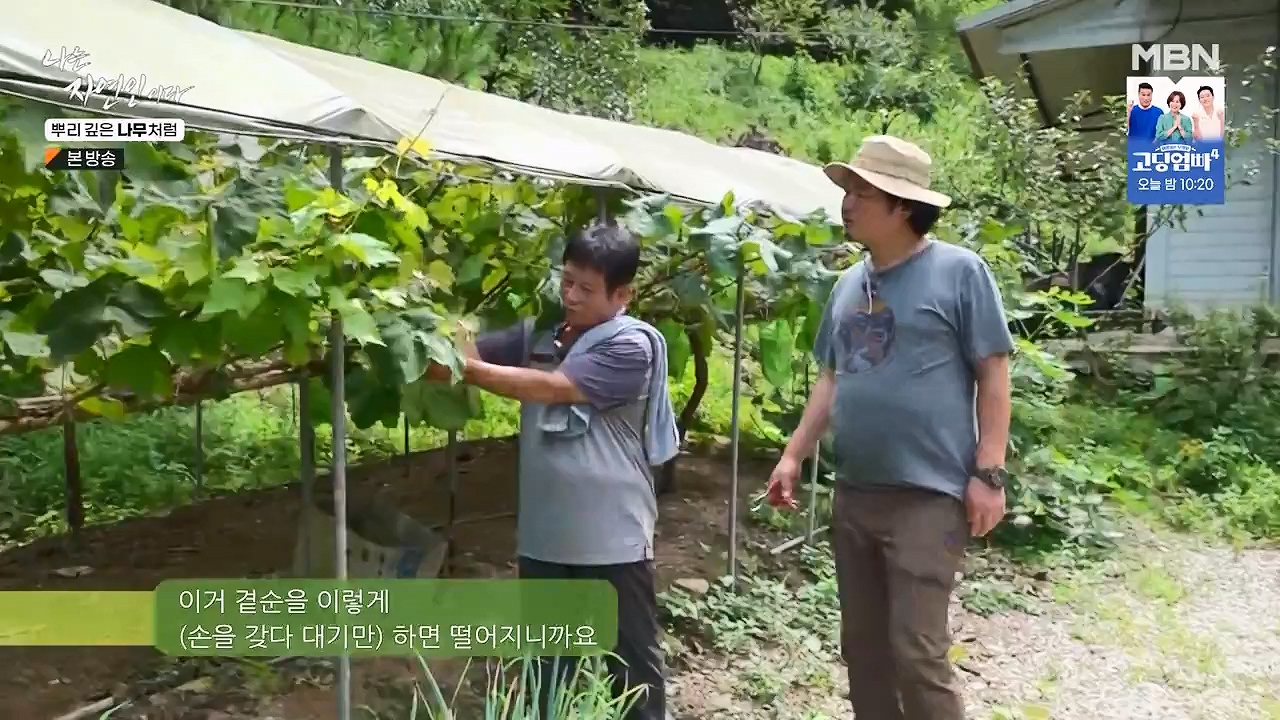 나는 자연인이다.E571.230914p-NEXT.mp4_20230914_202155.204.jpg