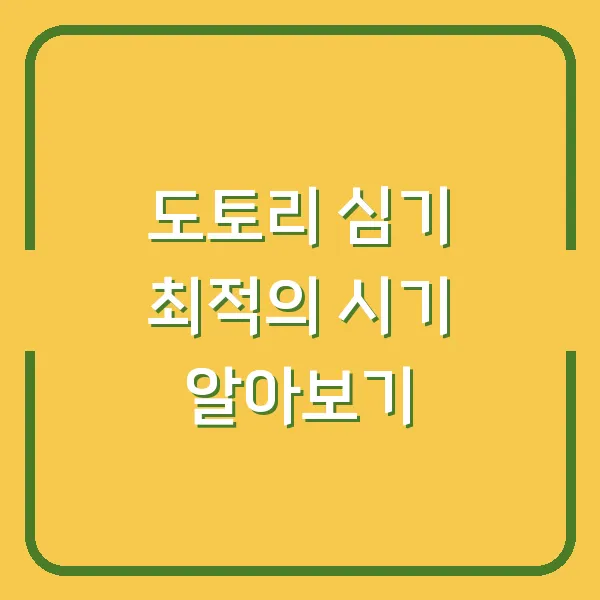 도토리 심기 최적의 시기 알아보기