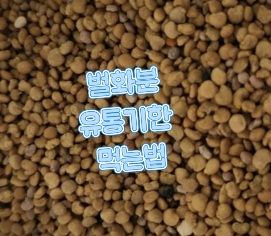 벌화분-유통기한