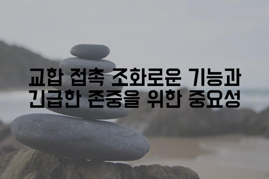 교합 접촉 조화로운 기능과 긴급한 존중을 위한 중요성