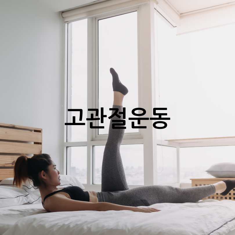 뼈튼튼운동법