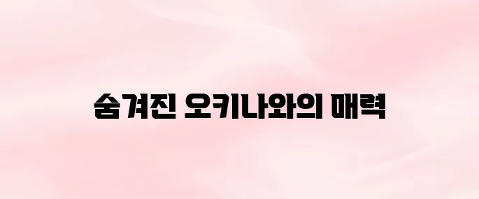 일본 오키나와 자유여행 명소 및 드라이브 코스, 음식 추천